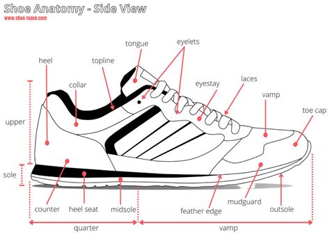 shoe anatomy pictures.